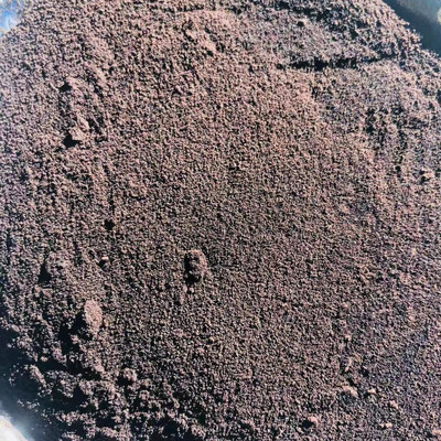 專業推薦 永多飼料級血粉與鴨血粉，高蛋白易消化原料的首選