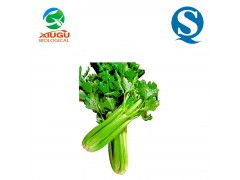 廠家直銷高品質(zhì)果蔬粉——芹菜粉，助力烘焙、膨化、固體飲料與飼料多元化應(yīng)用