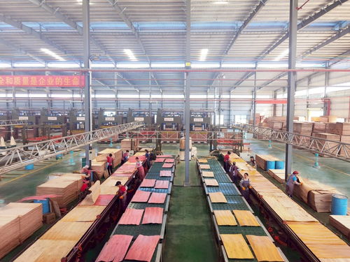 啟陽(yáng)新材料 勇立潮頭，成為貴港首家獲全國(guó)工業(yè)產(chǎn)品生產(chǎn)許可證的飼料原料銷售企業(yè)