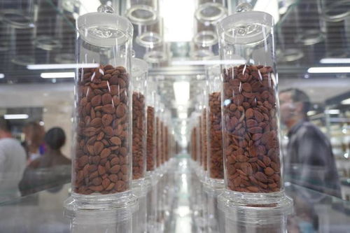 廣東一方制藥 創新中藥配方顆粒，科技賦能傳統智慧